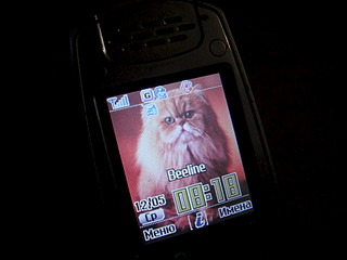 1920 X 1440 435.8 Kb 1920 X 1440 670.5 Kb   pantech pg1500