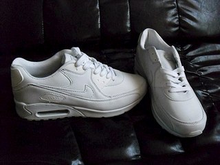 604 X 453 42.5 Kb  Nike Airmax)