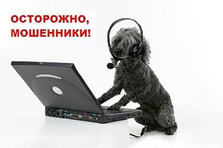 425 X 282 16.3 Kb Официальная тема приюта 'Кот и Пёс': наши питомцы ждут любой помощи! и свою семью!