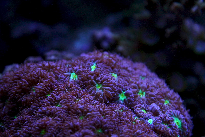1920 X 1280 554.2 Kb Глубокое синее море.