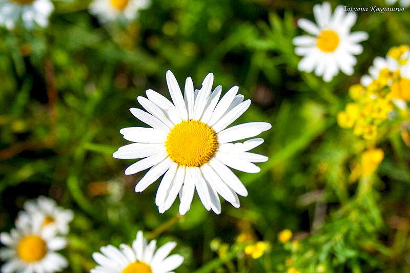 1920 X 1280 232.5 Kb   