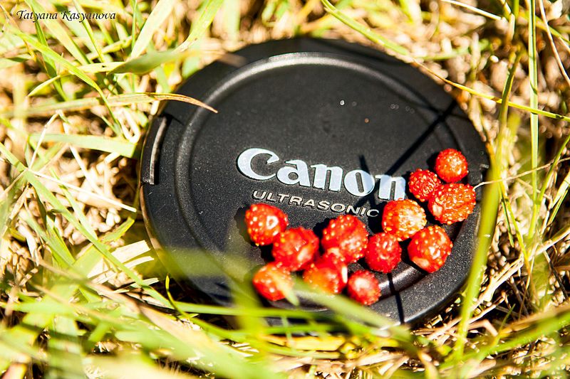 1920 X 1280 398.5 Kb   