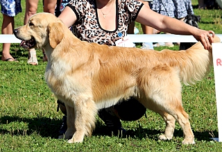 640 X 438 268.8 Kb   ,