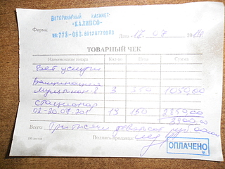 1024 X 768 528.9 Kb SOS! Вниманию неравнодушных! Помогите маленьким щенкам! Необходима фин. помощь.