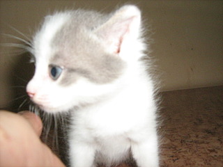 1920 X 1440 679.2 Kb 1385 X 1941 665.8 Kb    ? ! !