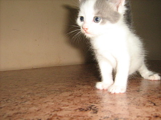 1920 X 1440 747.9 Kb 1920 X 1440 679.2 Kb 1385 X 1941 665.8 Kb    ? ! !