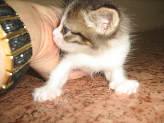 1920 X 1440 745.0 Kb    ? ! !