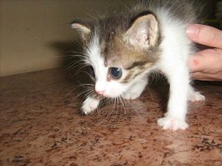 1920 X 1440 890.5 Kb 1766 X 1619 518.7 Kb 1920 X 1440 745.0 Kb    ? ! !