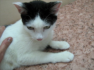 1920 X 1440 815.2 Kb    ? ! !