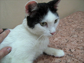 1920 X 1440 834.1 Kb 1920 X 1440 815.2 Kb    ? ! !