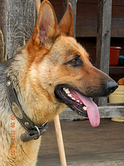 1920 X 2560 422.6 Kb        !