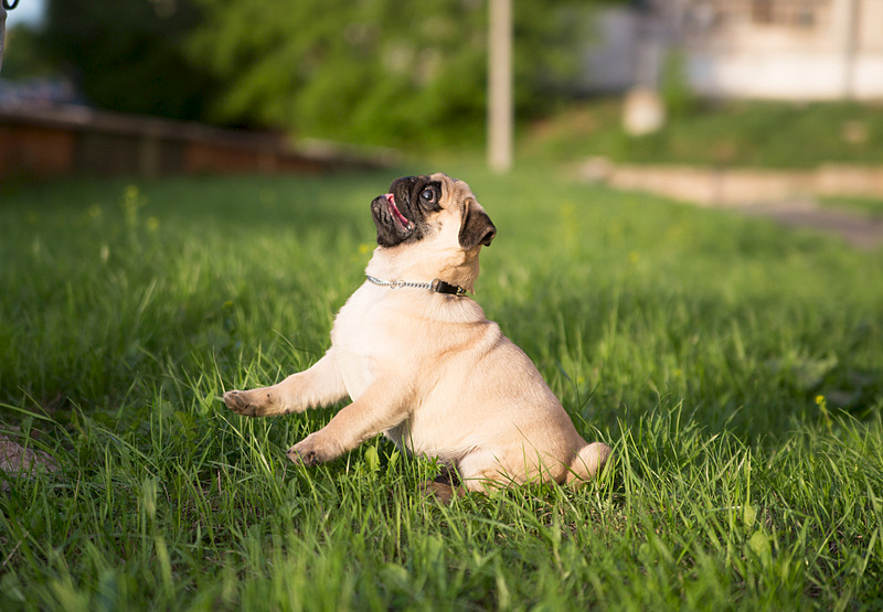 1920 X 1332 604.8 Kb   ()