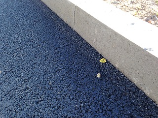 1920 X 1440 420.0 Kb   .?