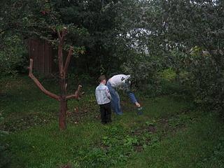 1920 X 1440 911.7 Kb  "" , ,  345 . 