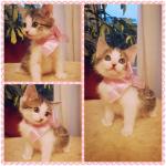 150 x 150 150 x 150  - 1.5-2    .