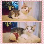 150 x 150 150 x 150 150 x 150  - 1.5-2    .