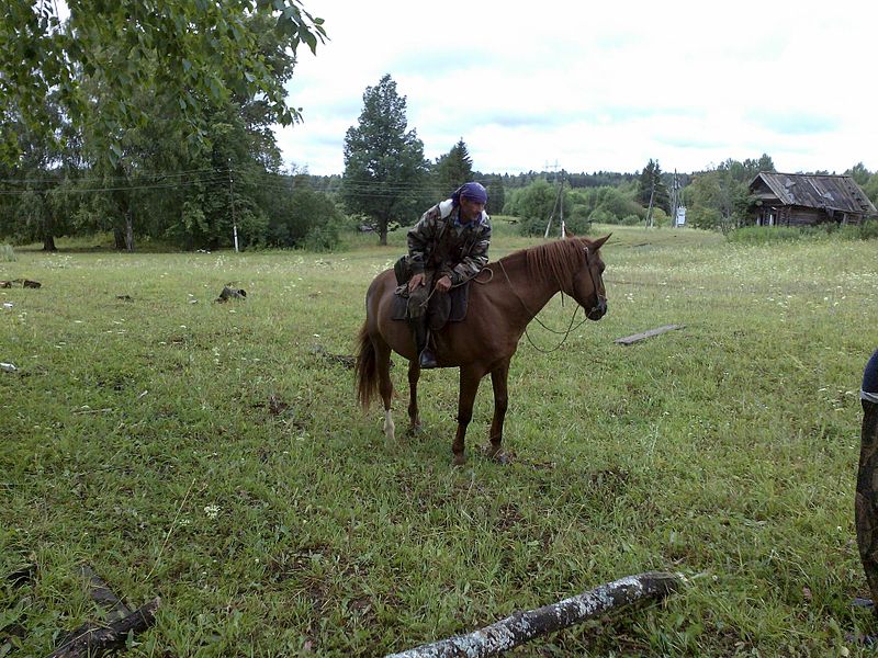 1920 X 1440 635.4 Kb Андреевцы 19.07.2014.