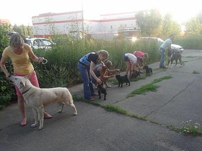 1024 X 768 119.9 Kb  .  16.07.2014