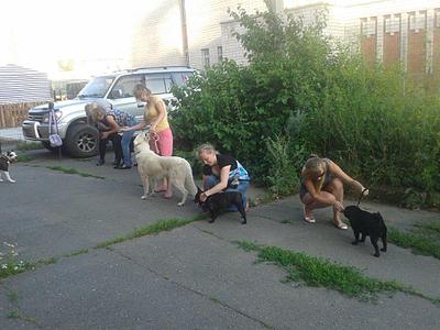 1024 X 768 130.5 Kb 1024 X 768 119.9 Kb  .  16.07.2014