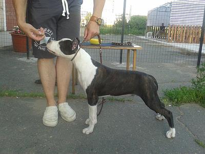 1024 X 768 126.6 Kb 1024 X 768 130.5 Kb 1024 X 768 119.9 Kb  .  16.07.2014