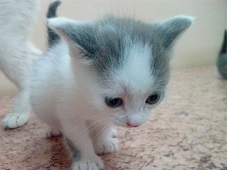 1920 X 1440 540.3 Kb 1920 X 1440 496.0 Kb . ! !