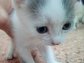 1920 X 1440 573.1 Kb 1920 X 1440 540.3 Kb 1920 X 1440 496.0 Kb . ! !