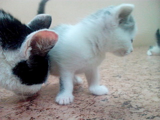 1920 X 1440 539.8 Kb 1920 X 1440 573.1 Kb 1920 X 1440 540.3 Kb 1920 X 1440 496.0 Kb . ! !