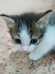 1920 X 2560 362.2 Kb . ! !