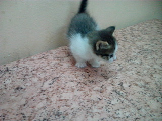 1920 X 1440 519.2 Kb 1920 X 2560 299.4 Kb 1920 X 2560 362.2 Kb . ! !