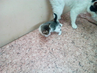 1920 X 1440 620.5 Kb 1920 X 1440 519.2 Kb 1920 X 2560 299.4 Kb 1920 X 2560 362.2 Kb . ! !