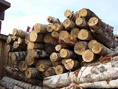 800 X 600 89.1 Kb    ...