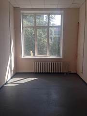 1920 X 2560 307.8 Kb    41,6 ..    / . 