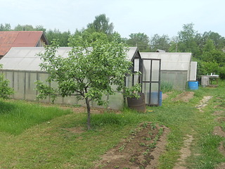 1024 X 768 296.3 Kb 1024 X 768 288.4 Kb 1024 X 768 296.2 Kb 1024 X 768 291.1 Kb СНТ "Мрия", дом, баня, 6 сот ФОТО