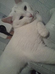 1920 X 2560 897.3 Kb 1920 X 2560 321.5 Kb     