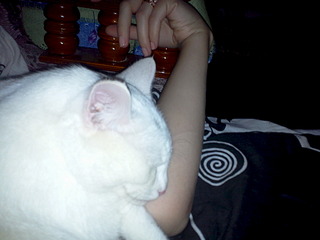 1920 X 1440 372.5 Kb 1920 X 2560 897.3 Kb 1920 X 2560 321.5 Kb     