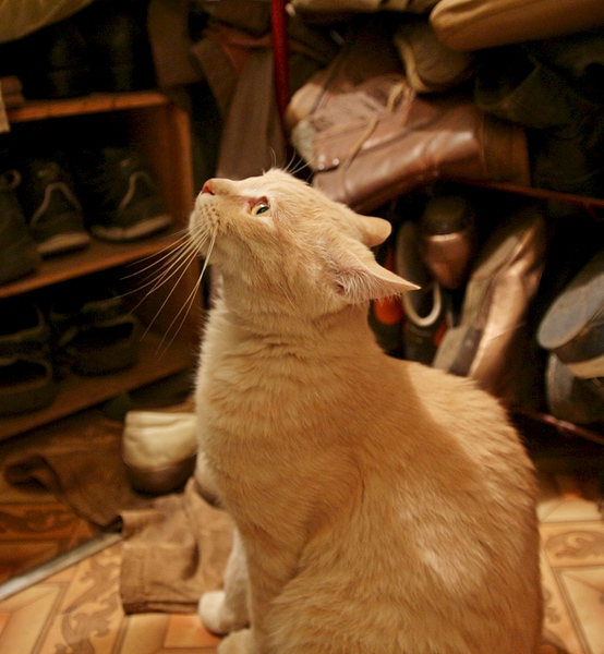 1920 X 2078 191.1 Kb 1920 X 2880 204.5 Kb     .