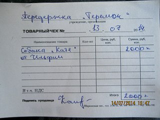 1920 X 1440 395.0 Kb 'Катины глаза' или есть ли шанс на достойную собачью старость? Нужна фин.помощь!