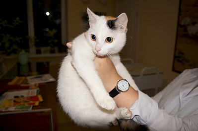 1920 X 1275 308.0 Kb -  !