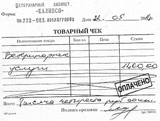 1410 X 1067 555.3 Kb 1920 X 2570 943.5 Kb 1920 X 2570 312.5 Kb Брошенному псу нужна помощь