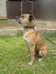 453 X 604 81.4 Kb ϸ   .