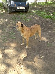 453 X 604 76.1 Kb 453 X 604 81.4 Kb ϸ   .