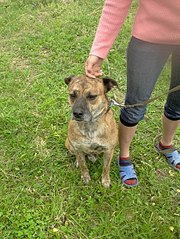 453 X 604 100.0 Kb 453 X 604 76.1 Kb 453 X 604 81.4 Kb ϸ   .