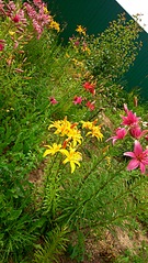 1746 X 3104 861.0 Kb 1746 X 3104 915.2 Kb    30-40