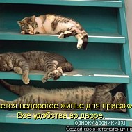 190 x 190 604 X 453 46.6 Kb Улыбнемся?