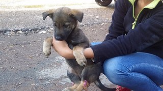 604 X 340  61.0 Kb 591 X 604  81.5 Kb 604 X 340  53.9 Kb   