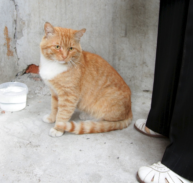 1920 X 1820 735.6 Kb 1920 X 1218 639.8 Kb   .     .