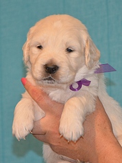 476 X 640 137.4 Kb 640 X 444 142.1 Kb   ,