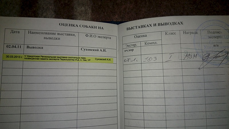 1920 X 1080 405.8 Kb 1920 X 1080 471.8 Kb 1920 X 1080 552.5 Kb 1920 X 1080 489.0 Kb Продам западно-сибирскую лайку(охотничья собака)