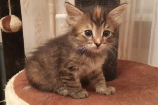 320 x 213 807 X 454  56.8 Kb 807 X 454  56.7 Kb     