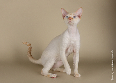 1920 X 1371 1010.6 Kb  -  